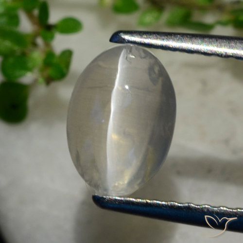 1.40ct طبيعي رمادى فاتح جدا عين القط سيليمانايت, بيضوي, شفاف