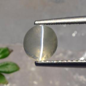 Sillimanite Cat's Eye طبيعي بلون دخاني، وزن ‎1.56‎ قيراط، شكل دائري، مقاس ‎6.22‎ مم