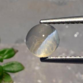 Sillimanite Cat's Eye طبيعي بلون دخاني، وزن ‎1.56‎ قيراط، شكل دائري، مقاس ‎6.22‎ مم