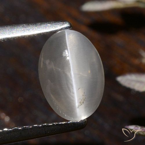 1.58ct طبيعي أبيض دافئ عين القط سيليمانايت, بيضوي, شفاف
