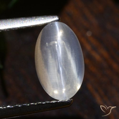 1.75ct طبيعي شفاف عين القط سيليمانايت, بيضوي, شفاف