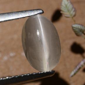 عين القط سيليمانايت دخان طبيعي، قصة بيضاوى، 1.40 قيراط، نصف شفاف