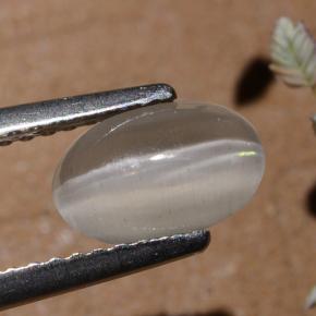 عين القط سيليمانايت دخان طبيعي، قصة بيضاوى، 1.40 قيراط، نصف شفاف