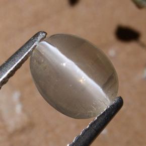 عين القط سيليمانايت دخان طبيعي، قصة بيضاوى، 1.44 قيراط، نصف شفاف