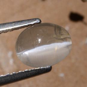 عين القط سيليمانايت دخان طبيعي، قصة بيضاوى، 1.44 قيراط، نصف شفاف