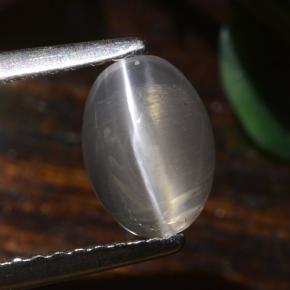 عين القط سيليمانايت رمادى فاتح جدا طبيعي، قصة بيضاوى، 1.40 قيراط، نصف شفاف