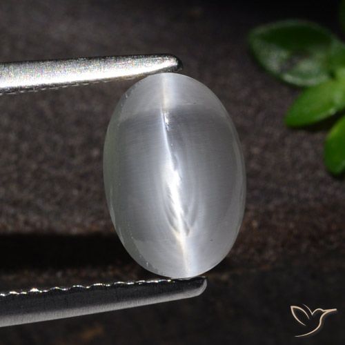 1.51ct طبيعي أبيض عين القط سيليمانايت, بيضوي, شفاف