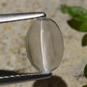 عين القط سيليمانايت دخان طبيعي، قصة بيضاوى، 1.45 قيراط، شفاف