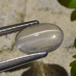 عين القط سيليمانايت دخان طبيعي، قصة بيضاوى، 1.45 قيراط، شفاف