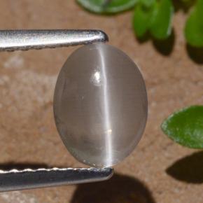 عين القط سيليمانايت دخان طبيعي، قصة بيضاوى، 1.29 قيراط، شفاف