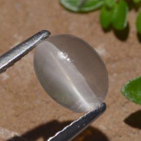 عين القط سيليمانايت دخان طبيعي، قصة بيضاوى، 1.29 قيراط، شفاف