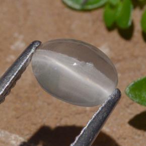 عين القط سيليمانايت دخان طبيعي، قصة بيضاوى، 1.29 قيراط، شفاف