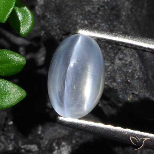 1.70ct طبيعي شفاف عين القط سيليمانايت, بيضوي, شفاف