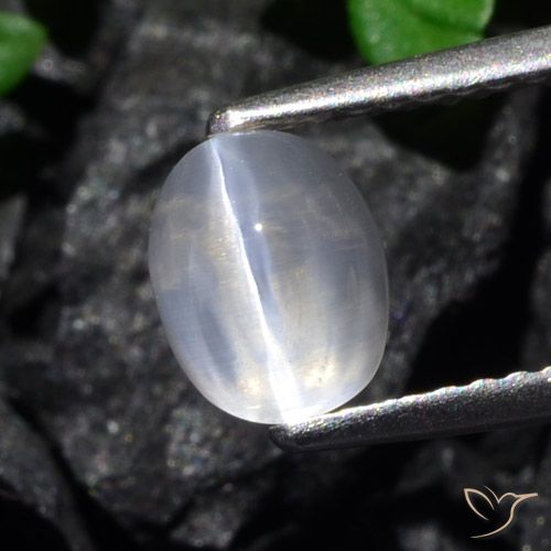 1.61ct طبيعي شفاف عين القط سيليمانايت, بيضوي, شفاف