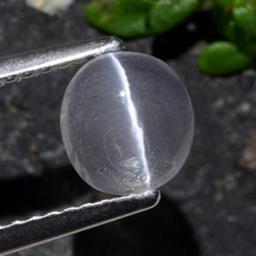 Sillimanite Cat's Eye طبيعي بلون دخاني، وزن ‎1.03‎ قيراط، شكل بيضاوى، مقاس ‎6.8x6.3‎ مم