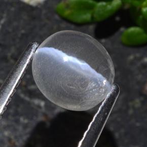 Sillimanite Cat's Eye طبيعي بلون دخاني، وزن ‎1.03‎ قيراط، شكل بيضاوى، مقاس ‎6.8x6.3‎ مم