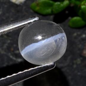 Sillimanite Cat's Eye طبيعي بلون دخاني، وزن ‎1.03‎ قيراط، شكل بيضاوى، مقاس ‎6.8x6.3‎ مم