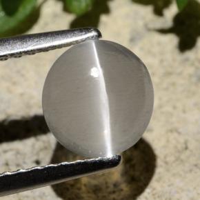 Sillimanite Cat's Eye طبيعي بلون دخاني، وزن ‎1.59‎ قيراط، شكل دائري، مقاس ‎6.97‎ مم