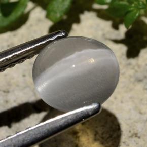 Sillimanite Cat's Eye طبيعي بلون دخاني، وزن ‎1.59‎ قيراط، شكل دائري، مقاس ‎6.97‎ مم