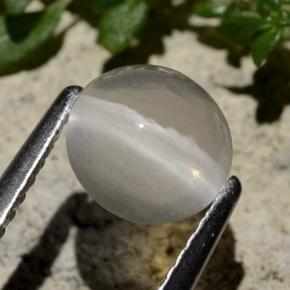 Sillimanite Cat's Eye طبيعي بلون دخاني، وزن ‎1.59‎ قيراط، شكل دائري، مقاس ‎6.97‎ مم