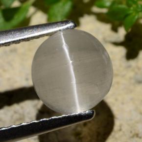 عين القط سيليمانايت دخان طبيعي، قصة دائرى، 1.34 قيراط، شفاف