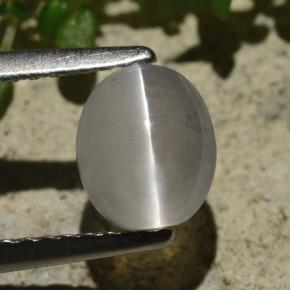 عين القط سيليمانايت دخان طبيعي، قصة بيضاوى، 1.57 قيراط، شفاف