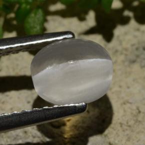 عين القط سيليمانايت دخان طبيعي، قصة بيضاوى، 1.57 قيراط، شفاف