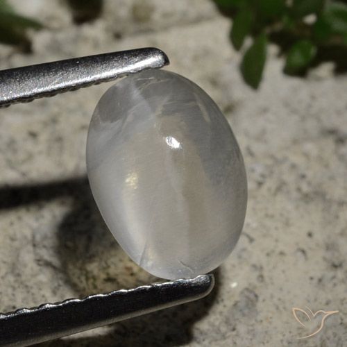 1.44ct طبيعي أبيض شفاف عين القط سيليمانايت, بيضوي, شفاف