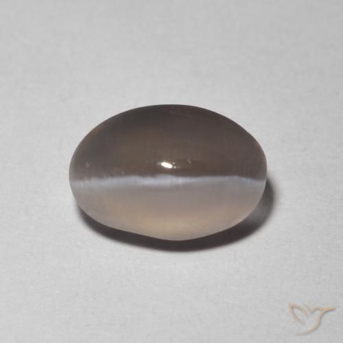1.48ct طبيعي رمادى فاتح جدا عين القط سيليمانايت, بيضوي, شفاف