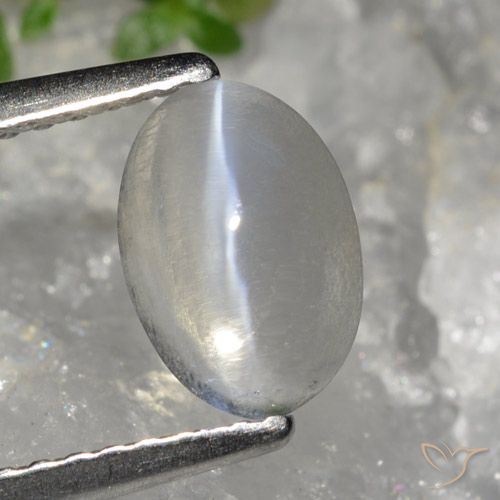 1.49ct طبيعي رمادى فاتح جدا عين القط سيليمانايت, بيضوي, شفاف