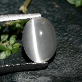 Sillimanite Cat's Eye طبيعي بلون دخاني، وزن ‎1.39‎ قيراط، شكل بيضاوى، مقاس ‎7.5x5.7‎ مم