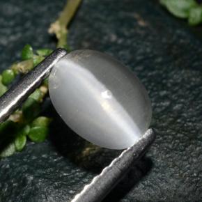Sillimanite Cat's Eye طبيعي بلون دخاني، وزن ‎1.39‎ قيراط، شكل بيضاوى، مقاس ‎7.5x5.7‎ مم