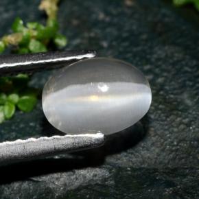 Sillimanite Cat's Eye طبيعي بلون دخاني، وزن ‎1.39‎ قيراط، شكل بيضاوى، مقاس ‎7.5x5.7‎ مم