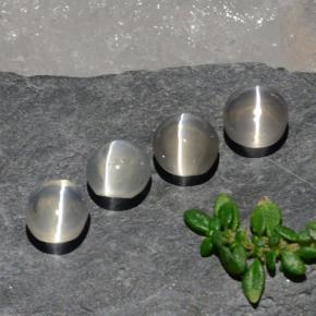 Sillimanite Cat's Eye طبيعي بلون أبيض شفاف، وزن ‎3.82‎ قيراط، شكل بيضاوى، مقاس ‎5.7x5.1‎ مم