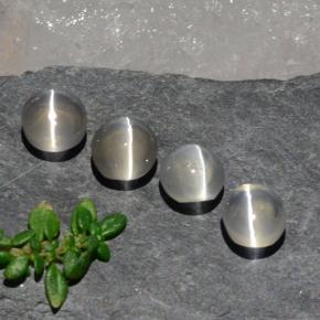 Sillimanite Cat's Eye طبيعي بلون أبيض شفاف، وزن ‎3.82‎ قيراط، شكل بيضاوى، مقاس ‎5.7x5.1‎ مم