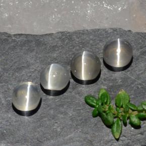 Sillimanite Cat's Eye طبيعي بلون أبيض شفاف، وزن ‎3.82‎ قيراط، شكل بيضاوى، مقاس ‎5.7x5.1‎ مم