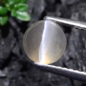 Sillimanite Cat's Eye طبيعي بلون رمادى فاتح جدا، وزن ‎1.74‎ قيراط، شكل دائري، مقاس ‎6.38‎ مم