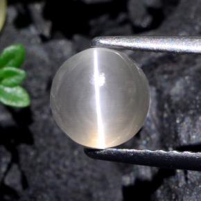 Sillimanite Cat's Eye طبيعي بلون رمادى فاتح جدا، وزن ‎1.74‎ قيراط، شكل دائري، مقاس ‎6.38‎ مم