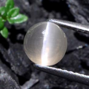Sillimanite Cat's Eye طبيعي بلون رمادى فاتح جدا، وزن ‎1.74‎ قيراط، شكل دائري، مقاس ‎6.38‎ مم
