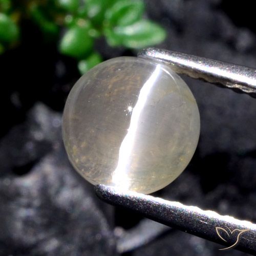 1.53ct طبيعي أبيض دافئ عين القط سيليمانايت, دائري, نصف شفاف