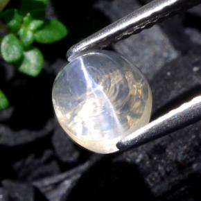 Sillimanite Cat's Eye طبيعي بلون شفاف، وزن ‎1.93‎ قيراط، شكل بيضاوى، مقاس ‎6.7x6.2‎ مم