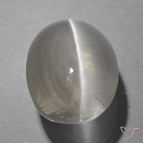 1.26ct طبيعي رمادى فاتح جدا عين القط سيليمانايت, بيضوي, شفاف