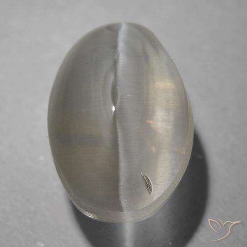1.63ct طبيعي رمادى فاتح جدا عين القط سيليمانايت, بيضوي, شفاف