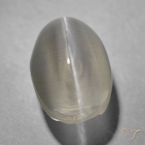 1.43ct طبيعي رمادى فاتح جدا عين القط سيليمانايت, بيضوي, شفاف