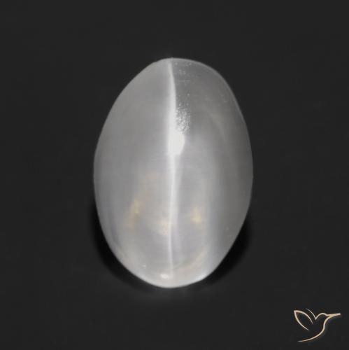 1.25ct طبيعي رمادى فاتح جدا عين القط سيليمانايت, بيضوي, شفاف