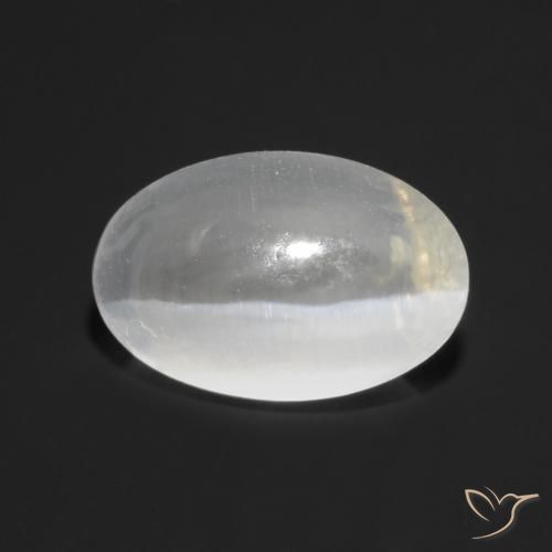 1.27ct طبيعي أبيض شفاف عين القط سيليمانايت, بيضوي, شفاف