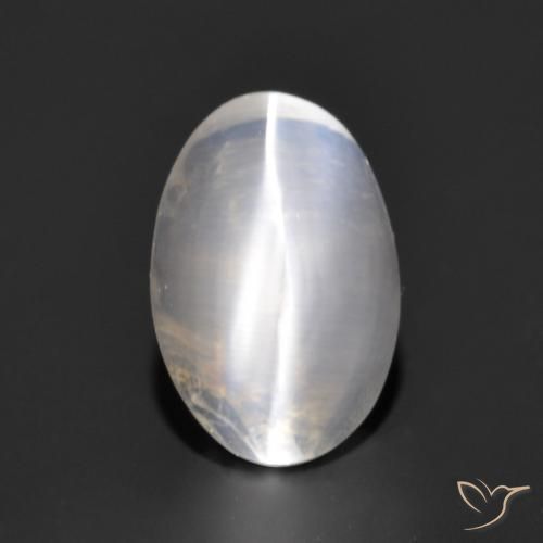 1.17ct طبيعي رمادى فاتح جدا عين القط سيليمانايت, بيضوي, شفاف
