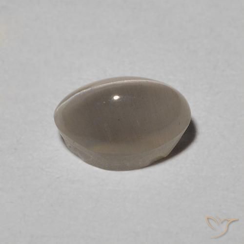 عين القط سيليمانايت Warm Grey طبيعي، بيضوي، 0.97 قيراط، نصف شفاف