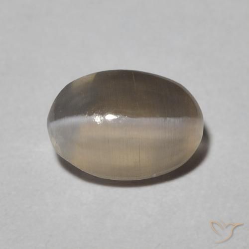 1.09ct طبيعي Warm Grey عين القط سيليمانايت, بيضوي, نصف شفاف