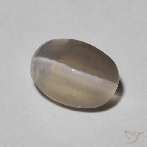 عين القط سيليمانايت Warm Grey طبيعي، بيضوي، 1.09 قيراط، نصف شفاف